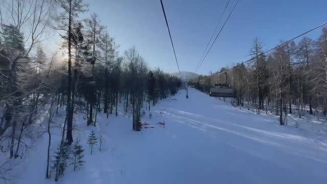 Завьялиха 2023