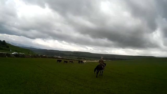 Кони возле медовых водопадов часть 1 смотреть онлайн