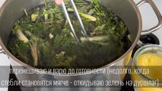 Творческие Проекты