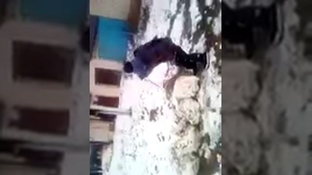 Про белые розы?️?️?️?️ смотреть онлайн