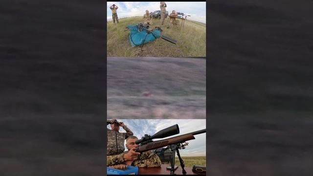 Выстрел 863 метра - попадание по сурку с .308 калибра смотреть онлайн
