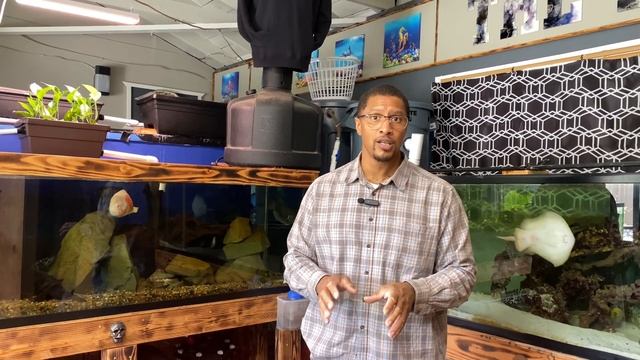 SWITCHING OVER YOUR FILTER WITHOUT CRASHING YOUR AQUARIUM смотреть онлайн