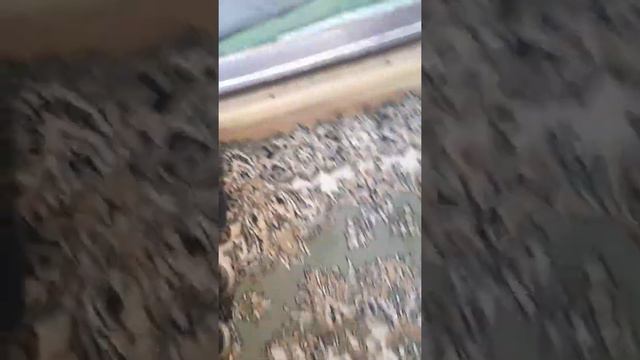 ШОК! 13 Марта вышел на улицу В ОДНОЙ РУБАШКЕ! (СТАЛО тепло) :D смотреть онлайн