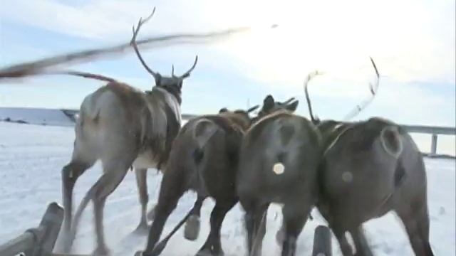 Приезжайте в Пуровский район смотреть онлайн