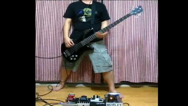Pantera Domination Bass Cover (With Warwick Rockbass Streamer LX 4) смотреть онлайн