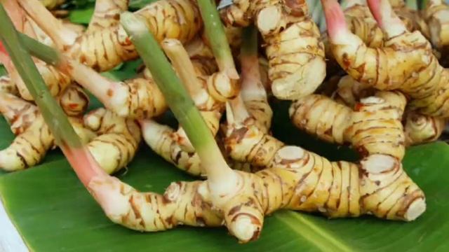 Alpinia Officinarum Plant End Benefits смотреть онлайн