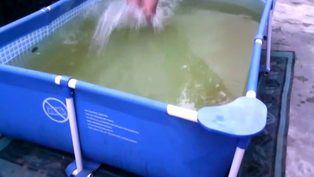 Прикол с шариком смотреть онлайн