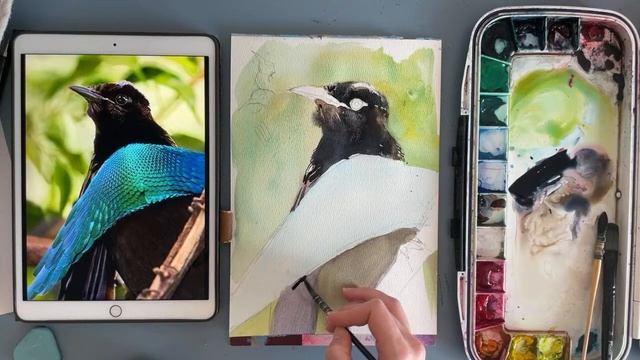 Рисуем чудную райскую птицу смотреть онлайн