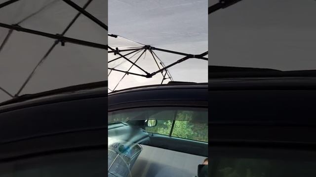 Зонт для автомобиля с Али,обзор.