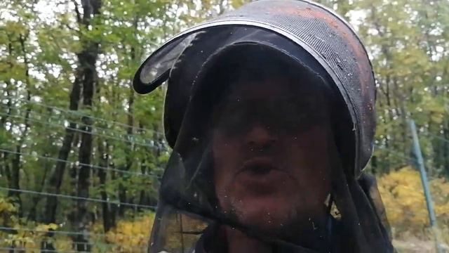 03.10.22.Как было.Покос противопожарной полосы.Есть возможности! +79241232444 Стороженко Владимир смотреть онлайн
