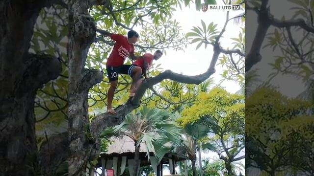 LIHAT !!! APA YANG DI LAKUKAN IRFAN BADCHIM DAN LILIPALY USAI LATIHAN !!! смотреть онлайн
