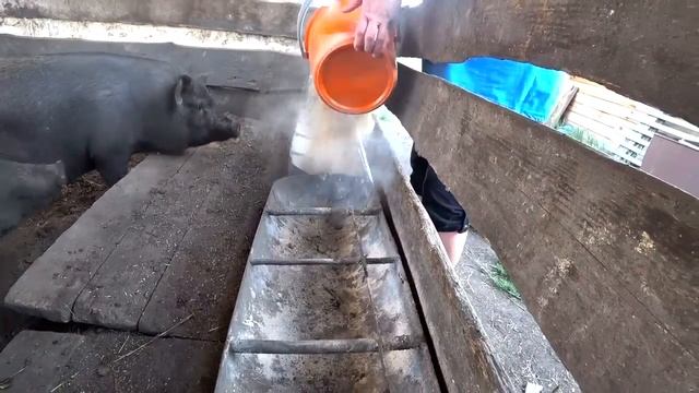 Один день из жизни в деревне. Хозяйство и радостные хлопоты. смотреть онлайн