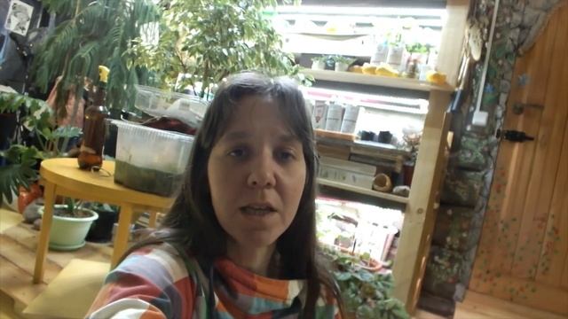 Как давать коту таблетку смотреть онлайн