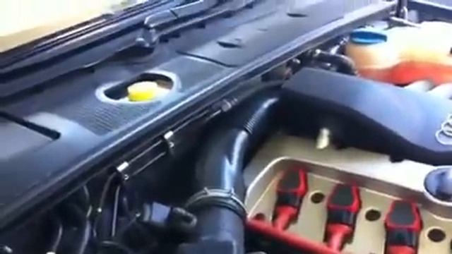 AUDI A4 B6 2.0 (2004) Start up Rattle Sound.MOV смотреть онлайн