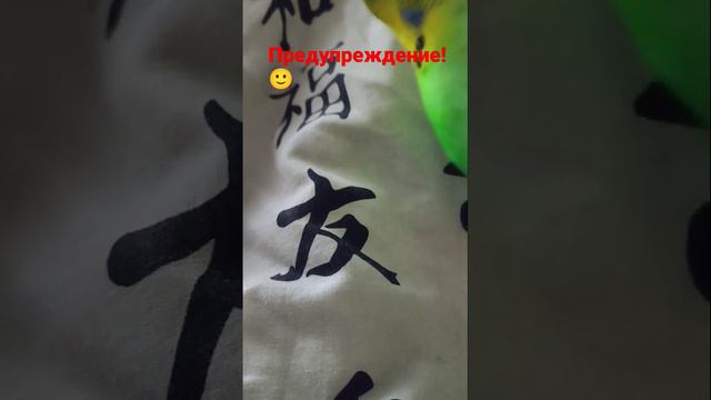 ПОЧЕМУ Я НЕ БУДУ ТАК ДОЛГО ДЕЛАТЬ РОЛИКИ! смотреть онлайн