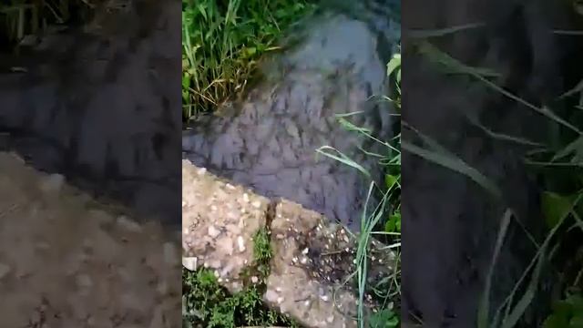 Жизнь за МКАДом - Новая ливневая канализация в Апрелевке! Ул. Февральская и Медведева. смотреть онлайн