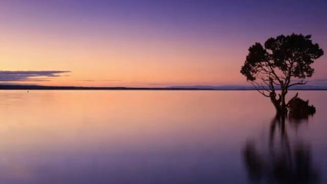 Невероятно красивые Мелодии для души, Спокойные мелодии. смотреть онлайн