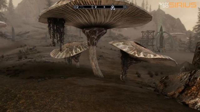 SKYRIM - Dragonborn Lets Play #21 [PC Extrem][1080p] смотреть онлайн