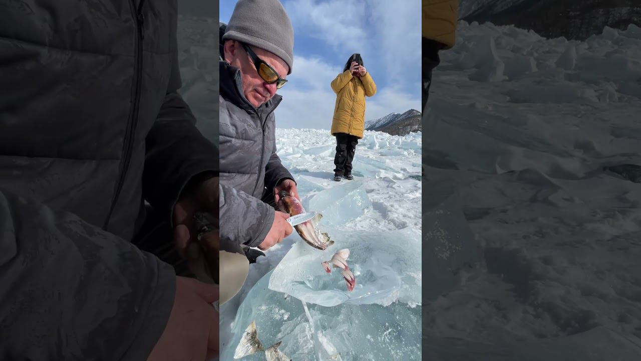 Байкальский деликатес смотреть онлайн