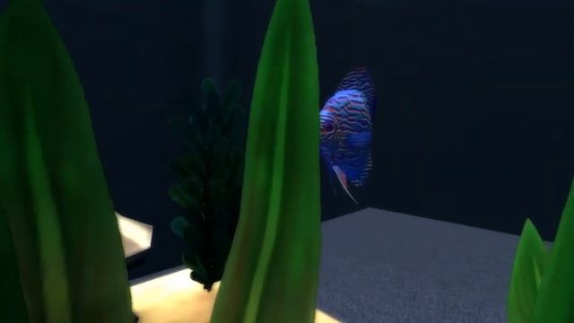 Анимация движения рыбок в Blender смотреть онлайн