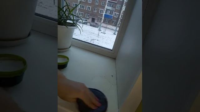 Честный отзыв!Диск инволвер и паста Мистик от Гринвей.