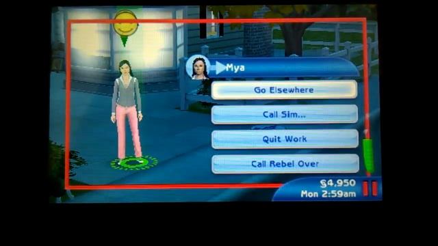 The Sims 3 Pets [3DS] смотреть онлайн