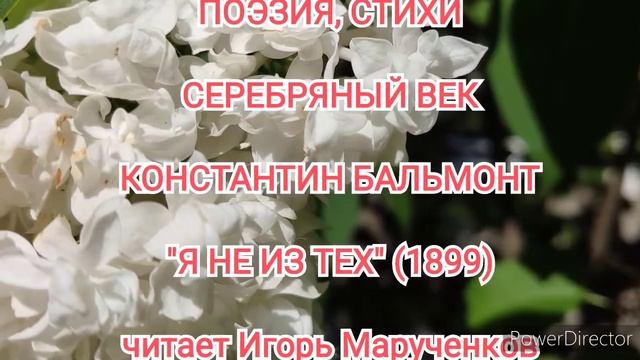Бальмонт, Я НЕ ИЗ ТЕХ (1899), Серебряный век, поэзия, стихи смотреть онлайн
