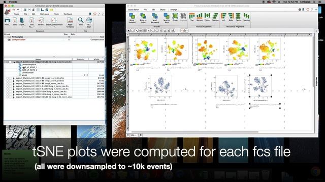 Live Demo: FlowSOM, TSNE, And UMAP Plugins In FlowJo