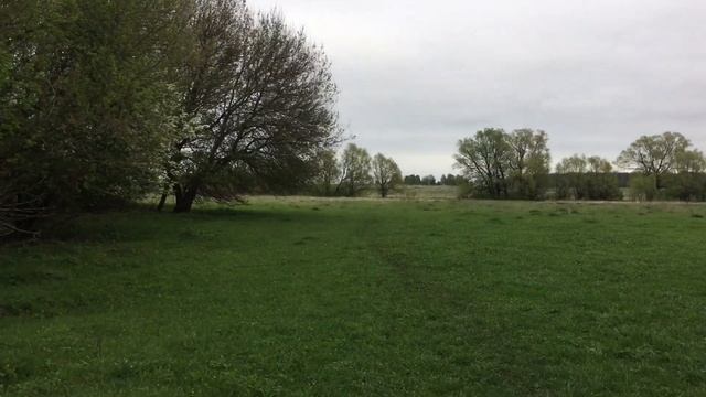 Как снимает iPhone 6s в 4к смотреть онлайн