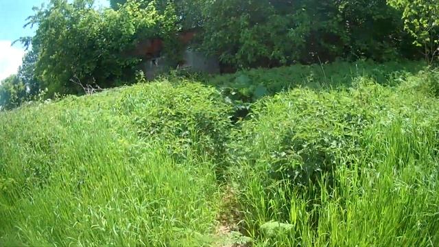 УСАДЬБА ГРАФА ШЕРЕМЕТЬЕВА. ЗАБРОШКИ #5 смотреть онлайн