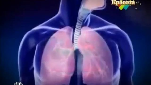 Стиральный порошок как причина бесплодия смотреть онлайн