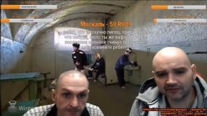 Мопс Стрим Прикол