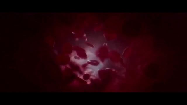 Братья из Гримсби Трамп смотреть онлайн