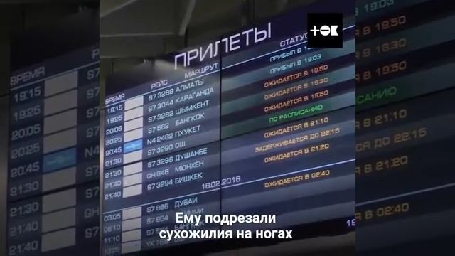 Мужчина провёл 25 лет в рабстве в Казахстане. смотреть онлайн