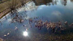 Ловлю крупного бычка с друзьями