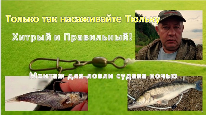 Хитрый и Правильный! Только так насаживайте Тюльку на крючок, когда ловите судака ночью на донку. смотреть онлайн