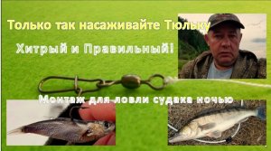 Хитрый и Правильный! Только так насаживайте Тюльку на крючок, когда ловите судака ночью на донку.