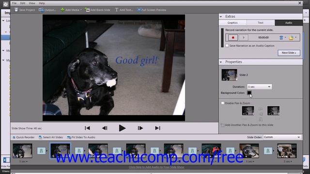 Photoshop Elements 12 Tutorial Creating a Slide Show Adobe Training Lesson 16.3 смотреть онлайн