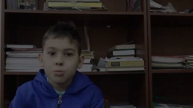 Бездомные животные