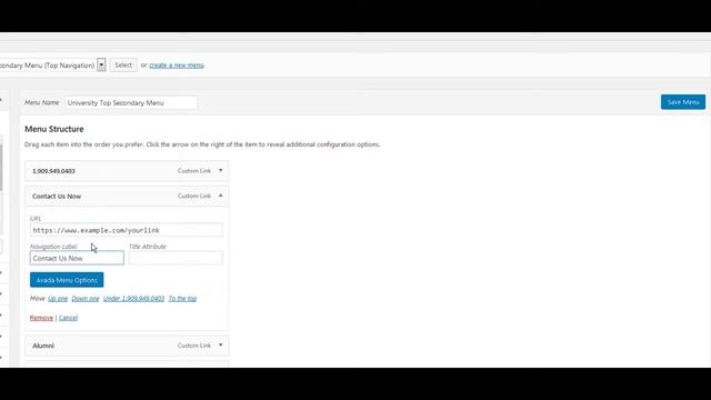How To Edit The WordPress Avada University Top Navigation Area смотреть онлайн