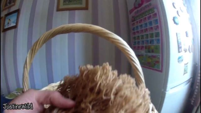 Грибы оленьи рожки и опята описание смотреть онлайн