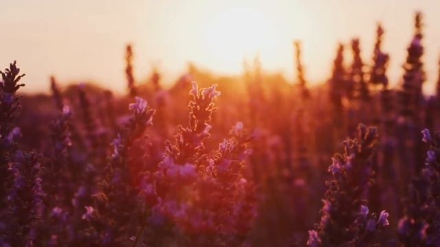 Медитация Принятие чувств смотреть онлайн