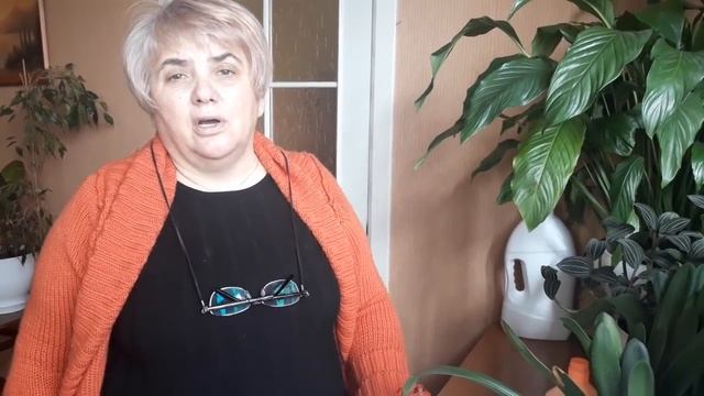 Как я борюсь с паутинным клещом. Мои цветы. Мой опыт. смотреть онлайн