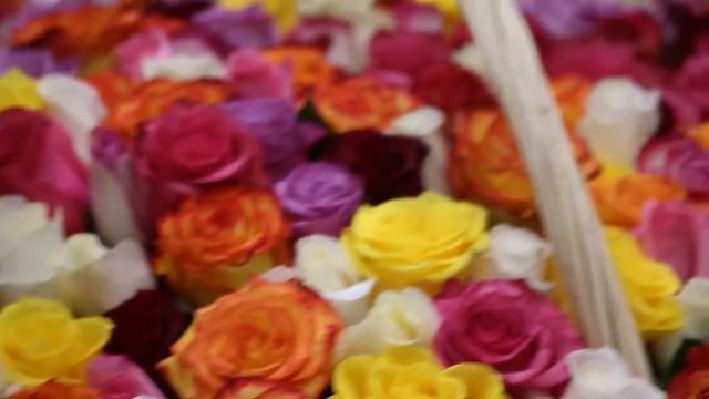 Композиция из 301 эквадорской розы в корзине