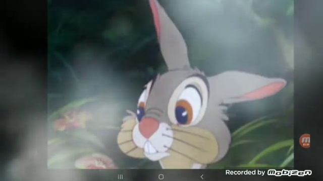 Кролик, который никого не боялся ? М.С. Пляцковский ? сказка ????