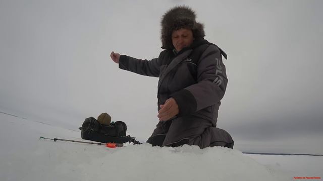 Берш без эхолота