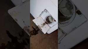 Не сливает воду машинка ZANUSSI