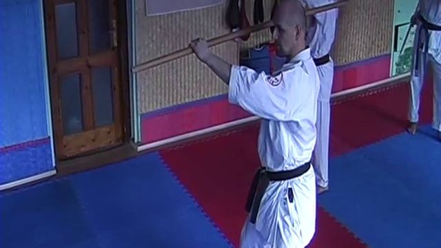 Павел Долгачёв (семинар KOBUDO) Latvia, Riga 2012 смотреть онлайн