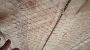 Сетка от грызунов на потолок.