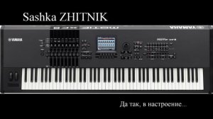 Sashka  Zhitnik — Да так, в настроении / Just in the mood